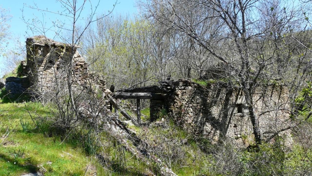 El Huerto De Leon Villa Pradena del Rincon Eksteriør billede