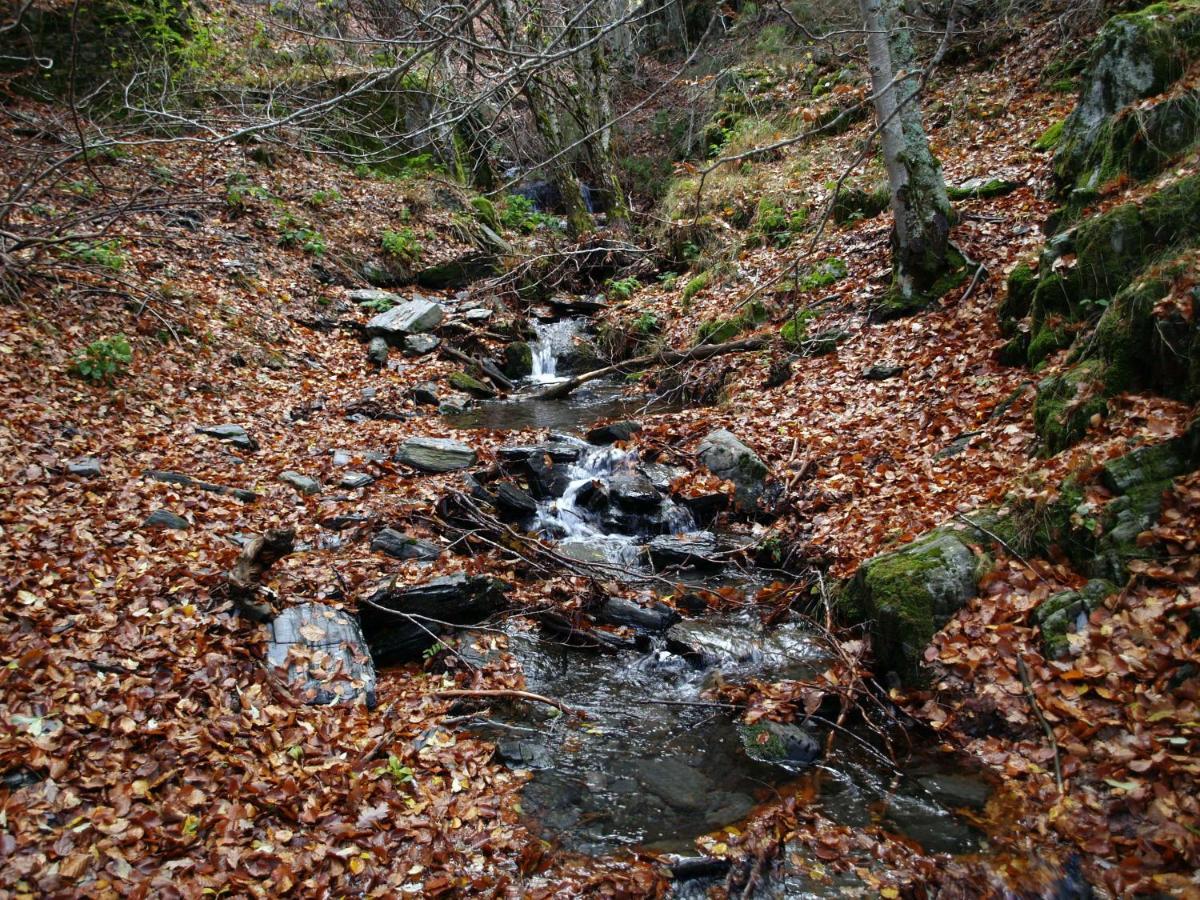 El Huerto De Leon Villa Pradena del Rincon Eksteriør billede